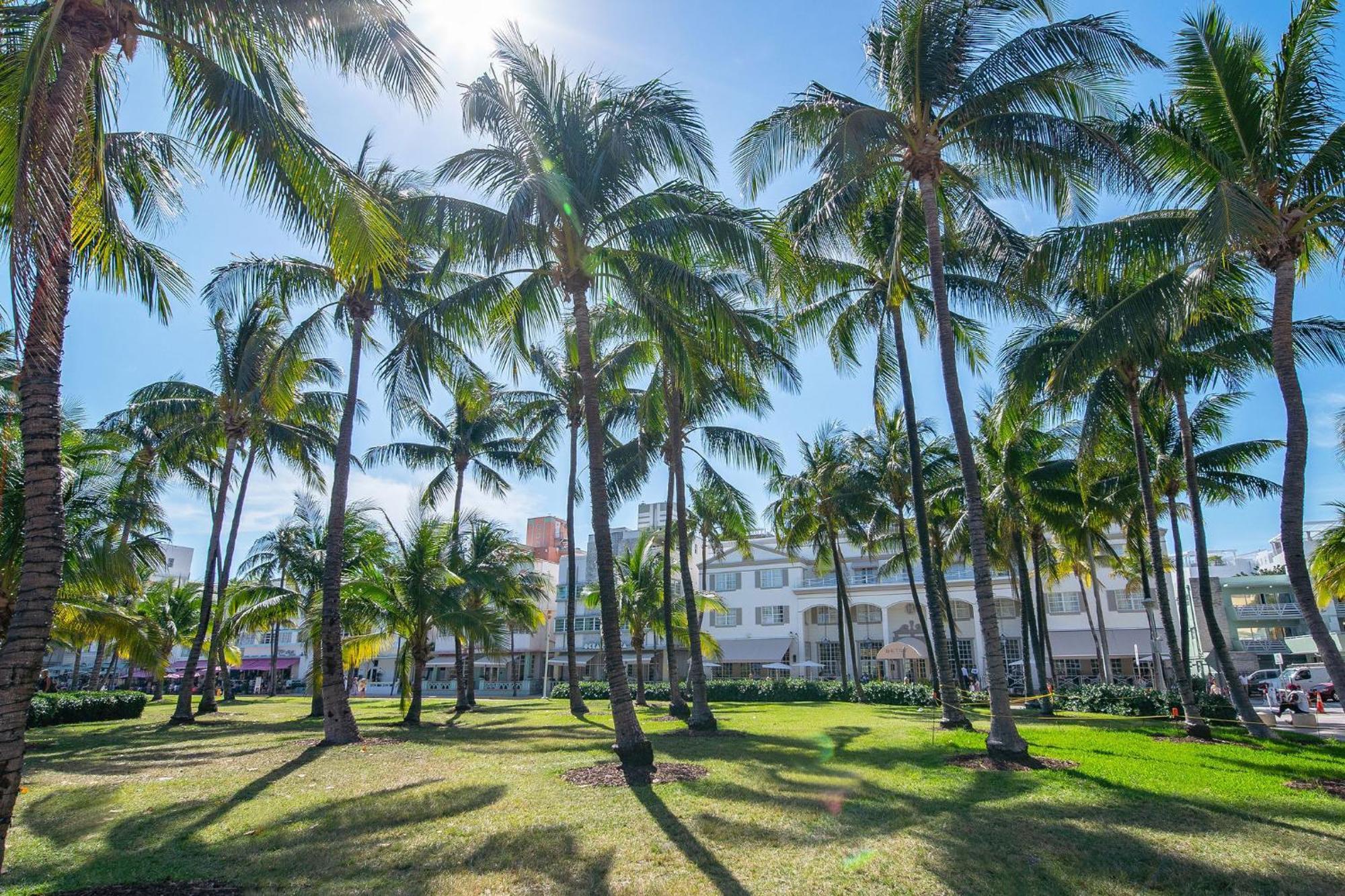 Charming Large Studio Near Ocean Dr - South Beach Miami Beach Buitenkant foto